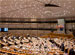 Sala de una instituci&oacute;n